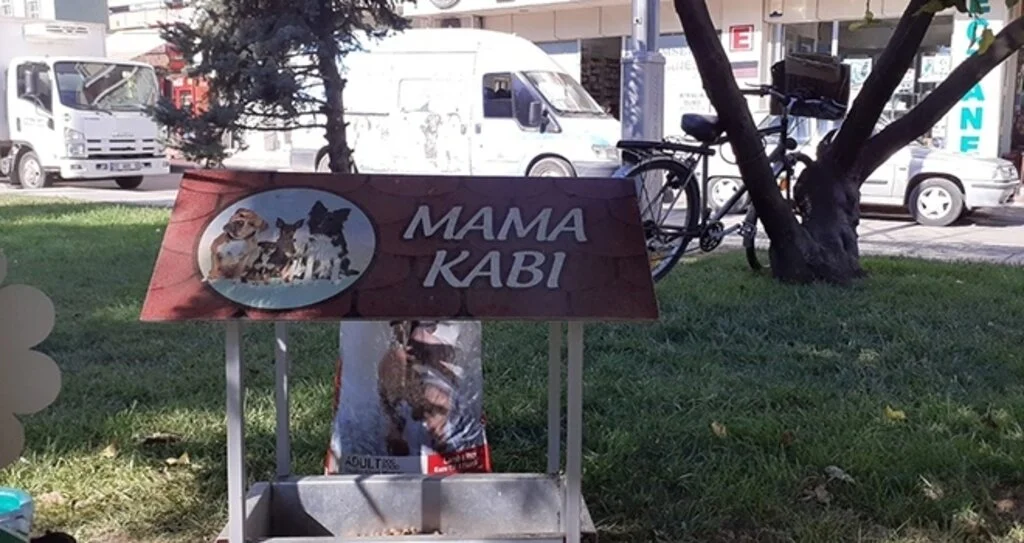 Bafra Belediyesi sokak hayvanlarını pandemide de unutmadı