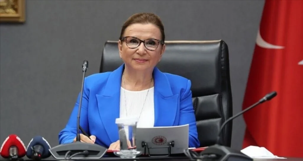 Bakan Pekcan: Türkiye'nin e-ticaret hacmi yılın ilk 6 ayında 91,7 milyar lira olarak gerçekleşti