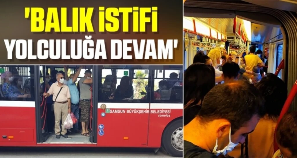 'Balık İstifi Yolculuğa Devam'
