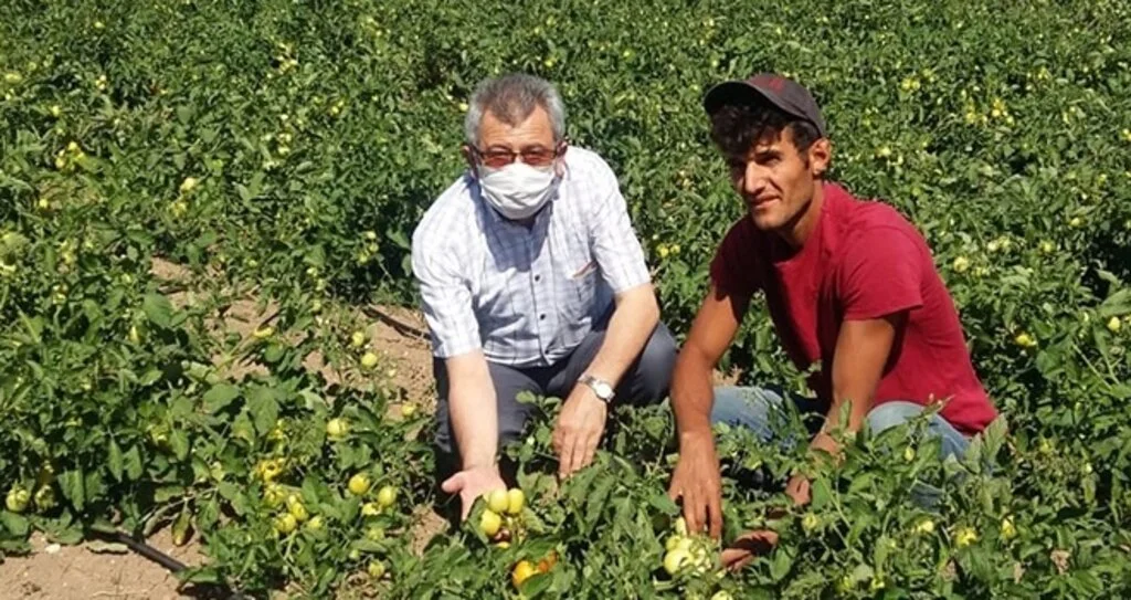 Büyükşehir Belediyesi’den alım garantili destek