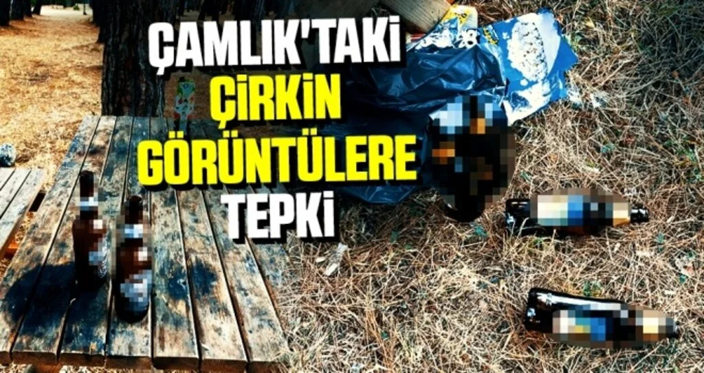Çamlık'taki çirkin görüntülere tepki
