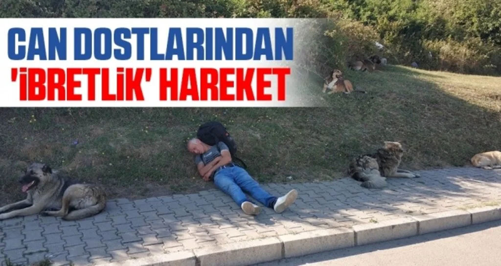 Can dostlarından 'ibretlik' hareket