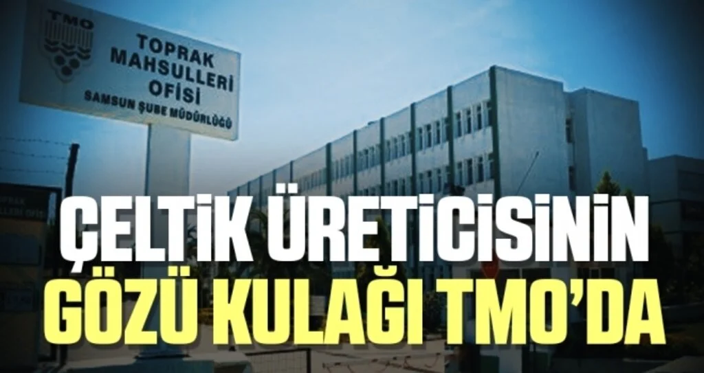 Çeltik üreticisinin gözü kulağı TMO’da