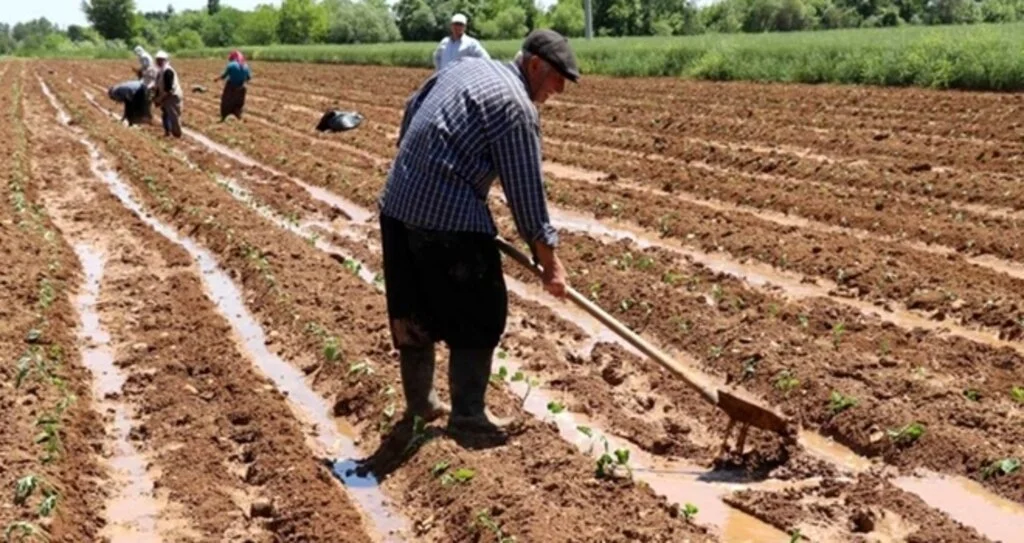 ÇKS 2020 başvuru süresi 1 Eylül’e kadar uzatıldı