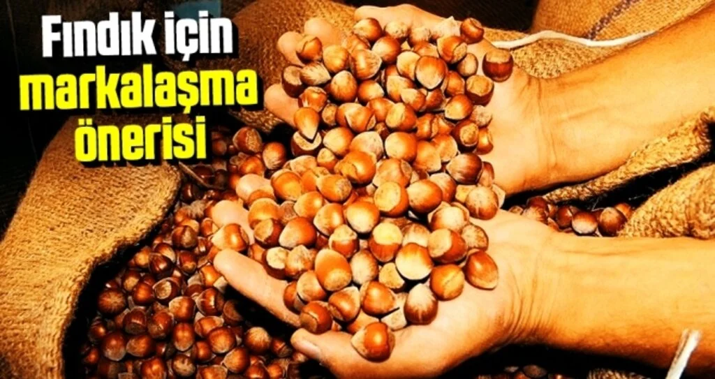 Fındık için markalaşma önerisi