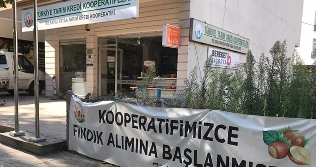 Fındık üreticisine 'nakliye' desteği