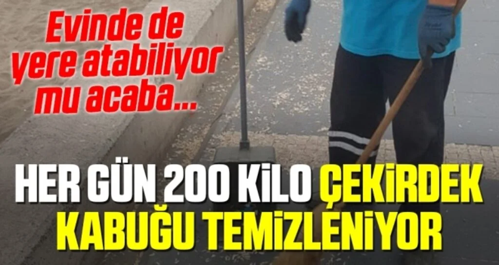 Her Gün 200 Kilo Çekirdek Kabuğu Temizleniyor