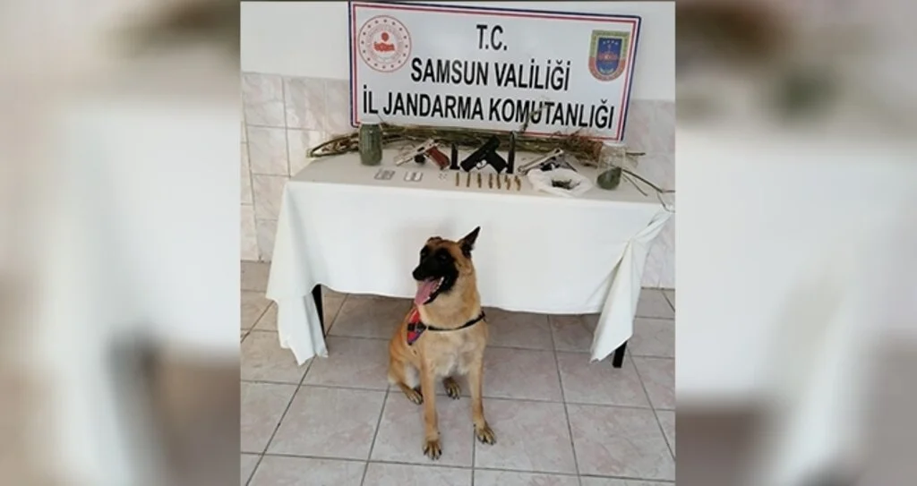 Jandarmadan uyuşturucu operasyonu: 1 gözaltı