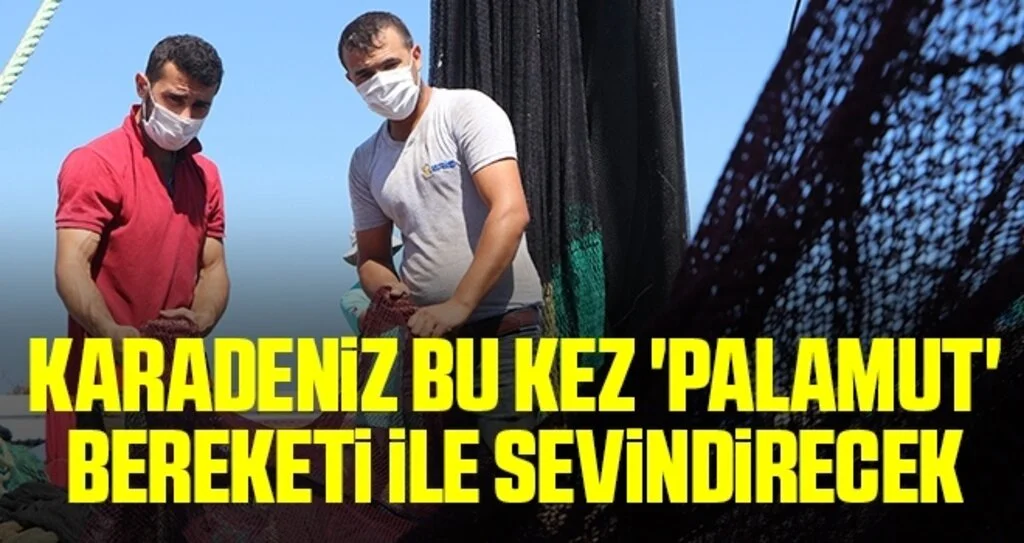 Karadeniz bu kez 'palamut' bereketi ile sevindirecek