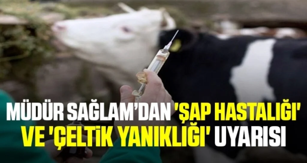 Müdür Sağlam’dan 'şap hastalığı' ve 'çeltik yanıklığı' uyarısı