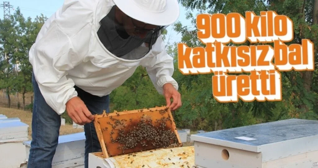 OMÜ Ziraat Fakültesi bin 900 kilo katkısız bal üretti