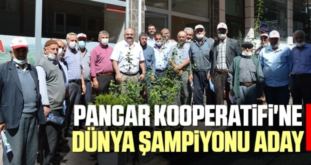 Pancar Kooperatifi'ne Dünya Şampiyonu aday