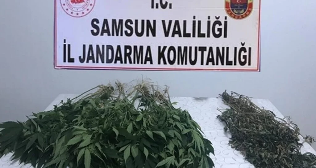 Salıpazarı’nda esrar operasyonu:2 gözaltı