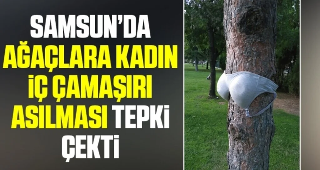 Samsun'da Ağaçlara Kadın İç Çamaşırı Asılması Tepki Çekti