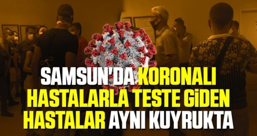 Samsun'da Araştırma'da şok eden görüntüler
