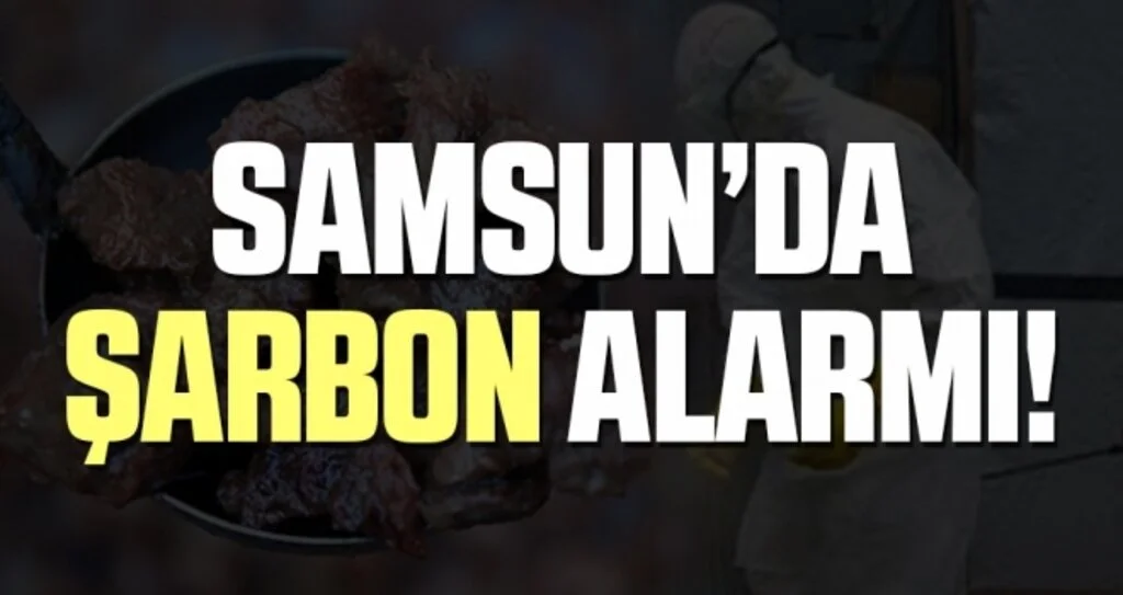 Samsun'da Bir Kişiye Kurban Etinden 'Şarbon' Bulaştı!