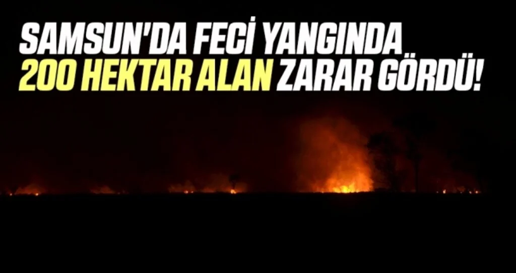 Samsun'da Feci Yangında 200 Hektar Alan Zarar Gördü!