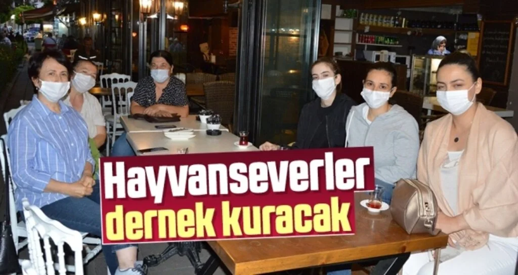 Samsun'da Hayvanseverler Dernek Kuracak