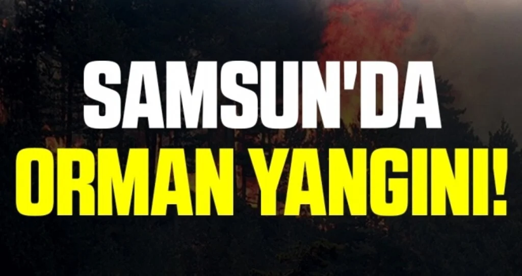 Samsun'da Orman Yangını!