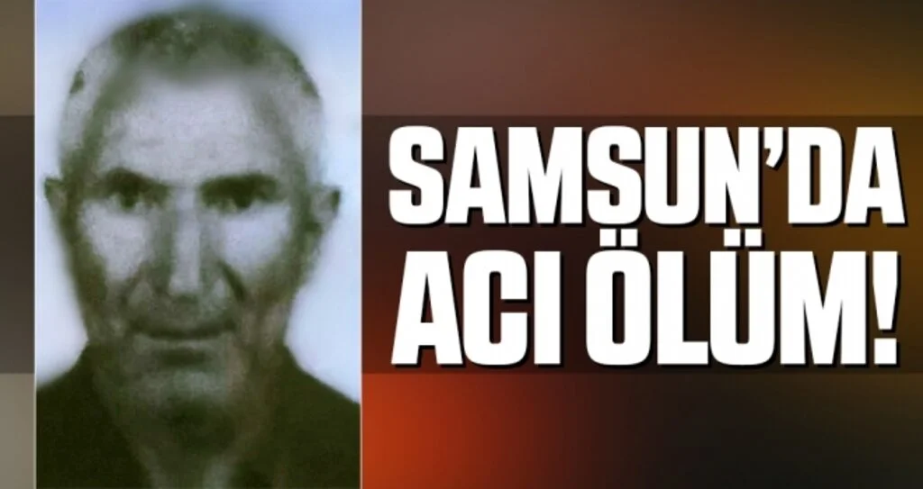 Samsun'da Ormanlık alanda çalışırken hayatını kaybetti
