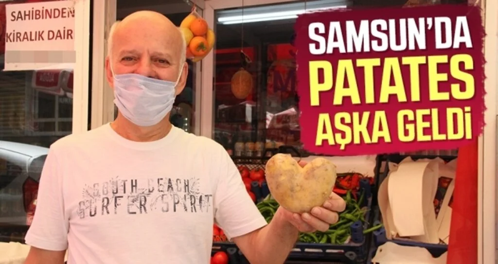Samsun’da patates aşka geldi