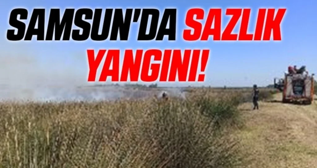 Samsun'da Sazlık Yangını!