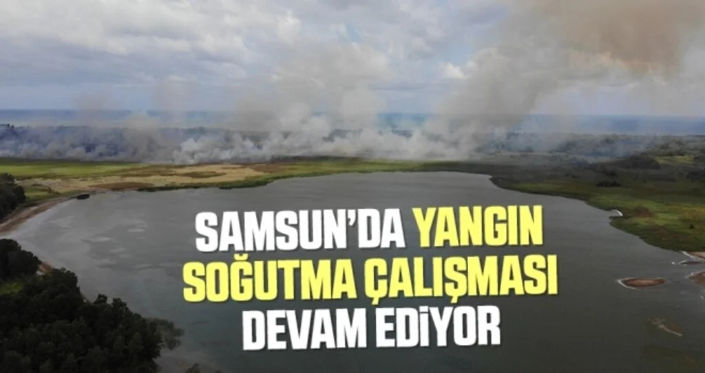 Samsun'da Sazlık yangınında soğutma çalışması devam ediyor
