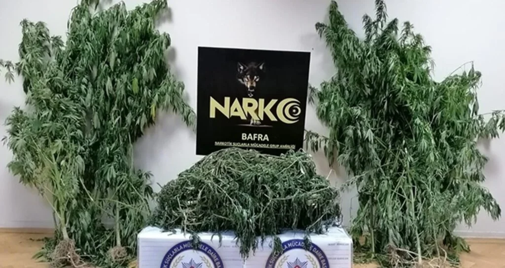 Samsun'da uyuşturucu operasyonu