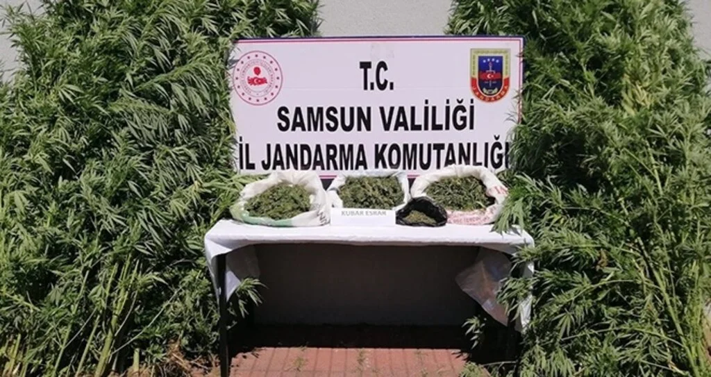 Samsun'da Uyuşturucu Operasyonunda 15 Gözaltı!