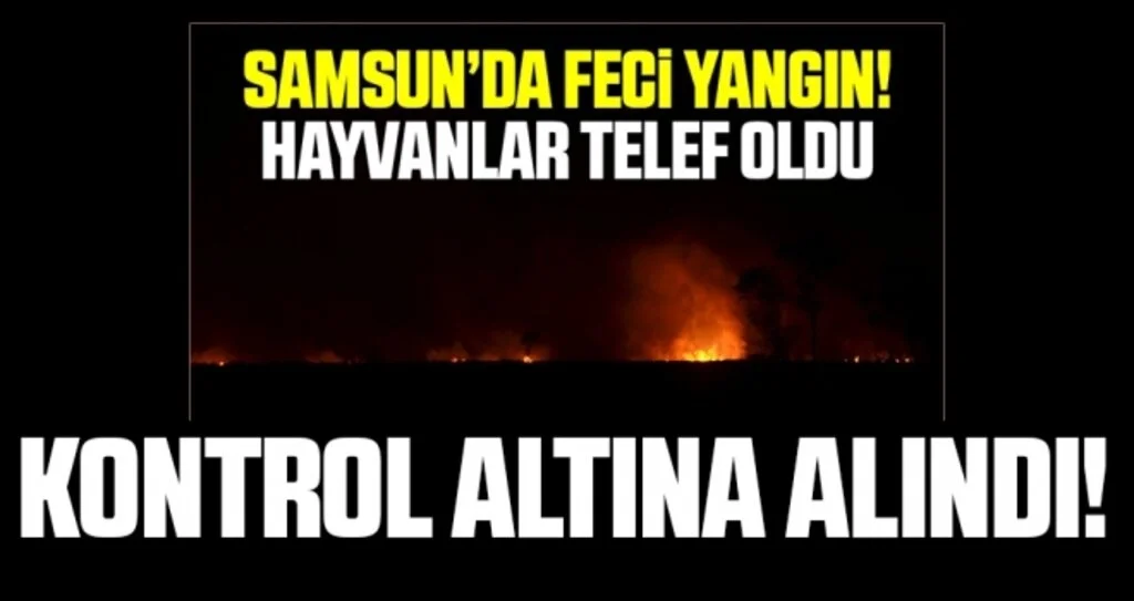 Samsun’daki sazlık yangını kontrol altına alındı