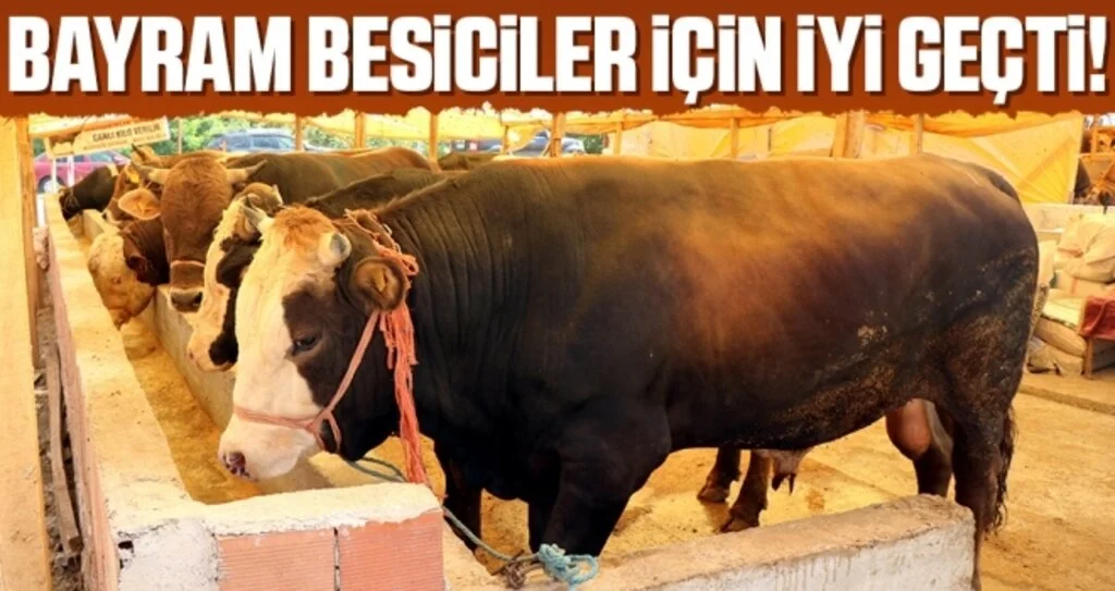 Samsunlu besiciler bu kurbanda umduğunu buldu