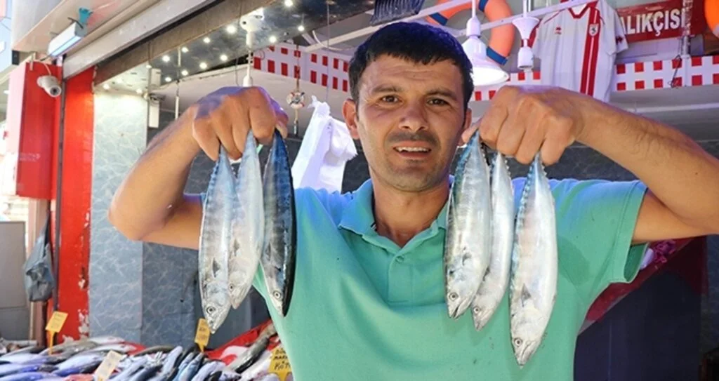Sezonun ilk palamutları görücüye çıktı