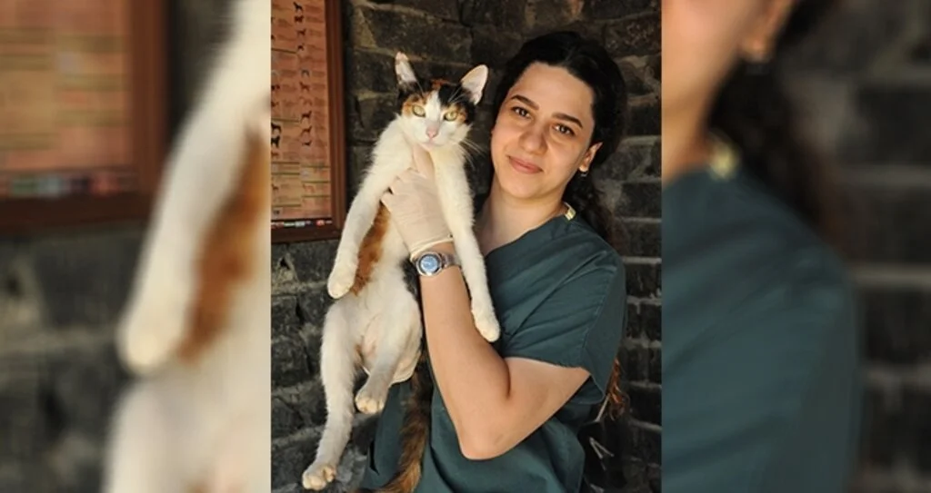 Sokakta yaralı bulundu, Büyükşehir Belediyesi tedavi etti