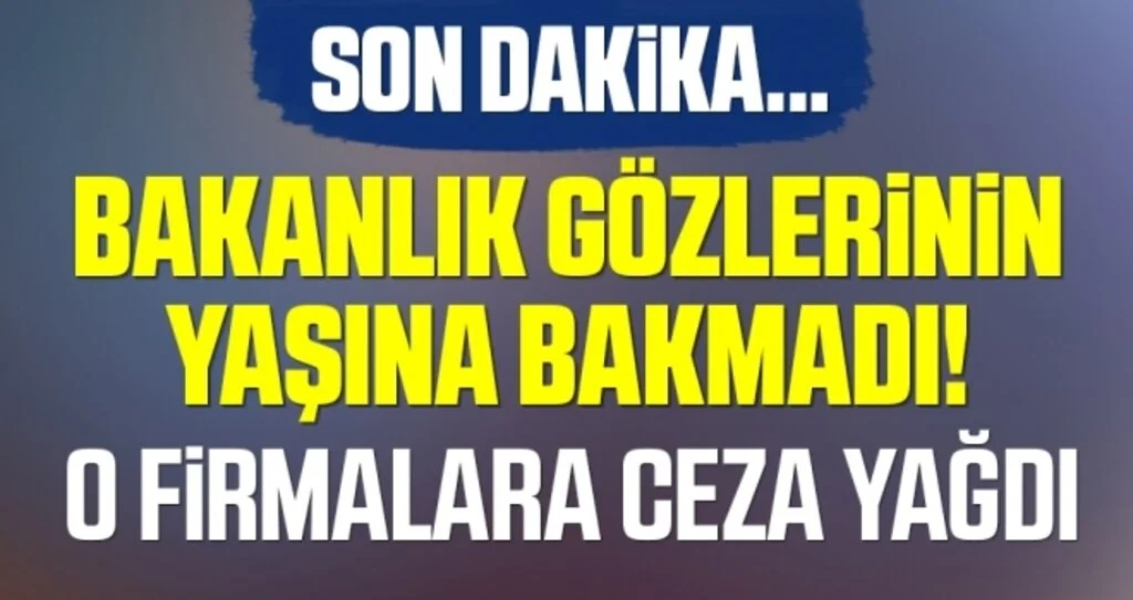 Son dakika Ticaret Bakanlığı'ndan 76 şirkete 216 milyon ceza