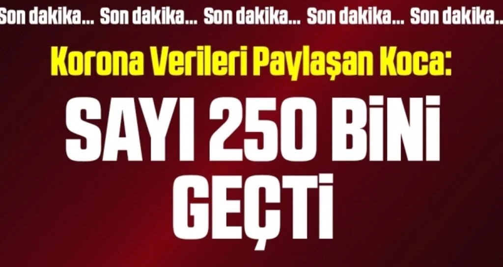 Son dakika… Türkiye’nin günlük corona verileri açıklandı! İşte 17 Ağustos tablosu…