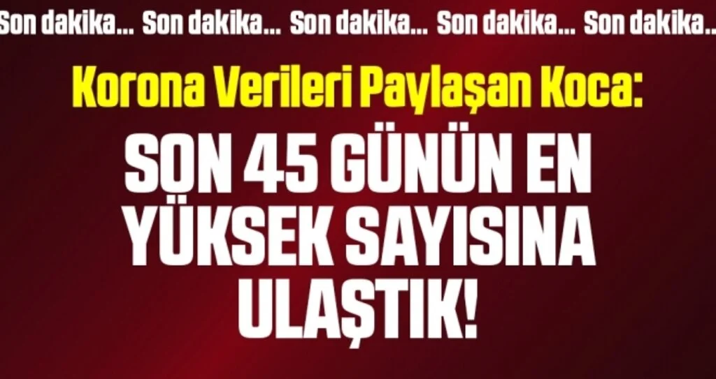Son dakika… Yeni corona virüsü verileri açıklandı! İşte 15 Ağustos tablosu…