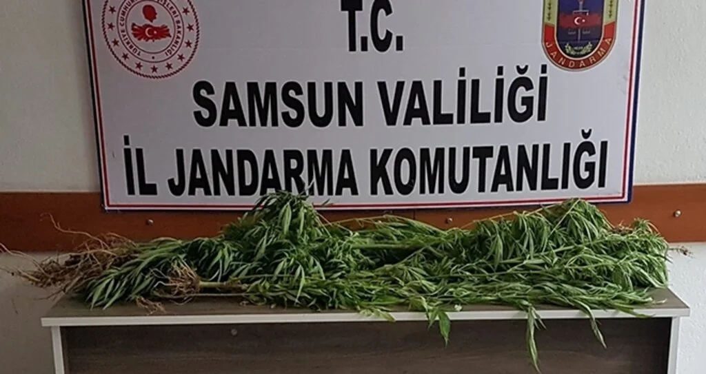 Terme’de jandarmadan operasyon