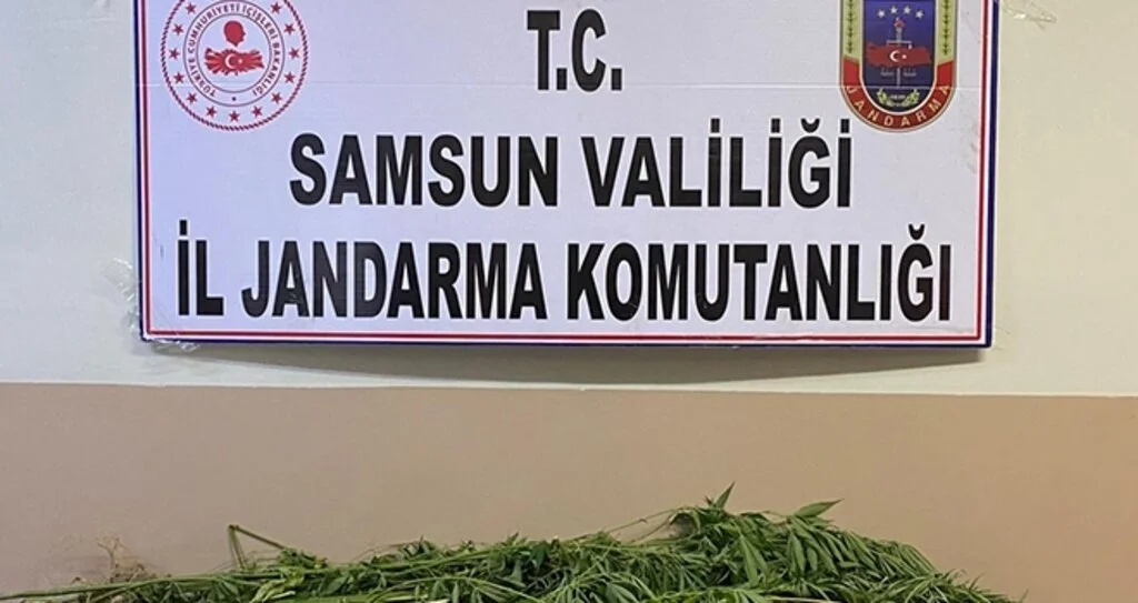 Terme'de  uyuşturucu operasyonu