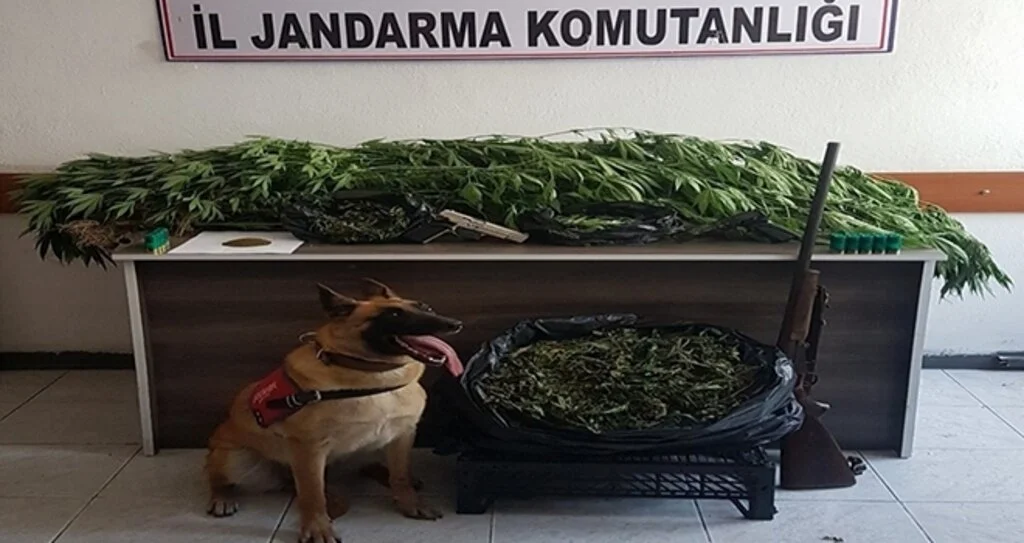 Uyuşturucu tacirleri 'Ozon'u geçemiyor
