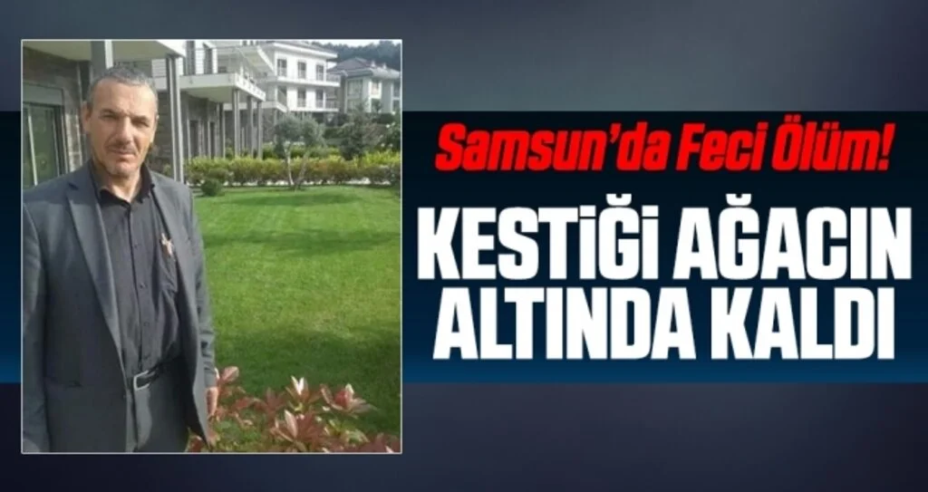 Üzerine ağaç devrilen şahıs hayatını kaybetti