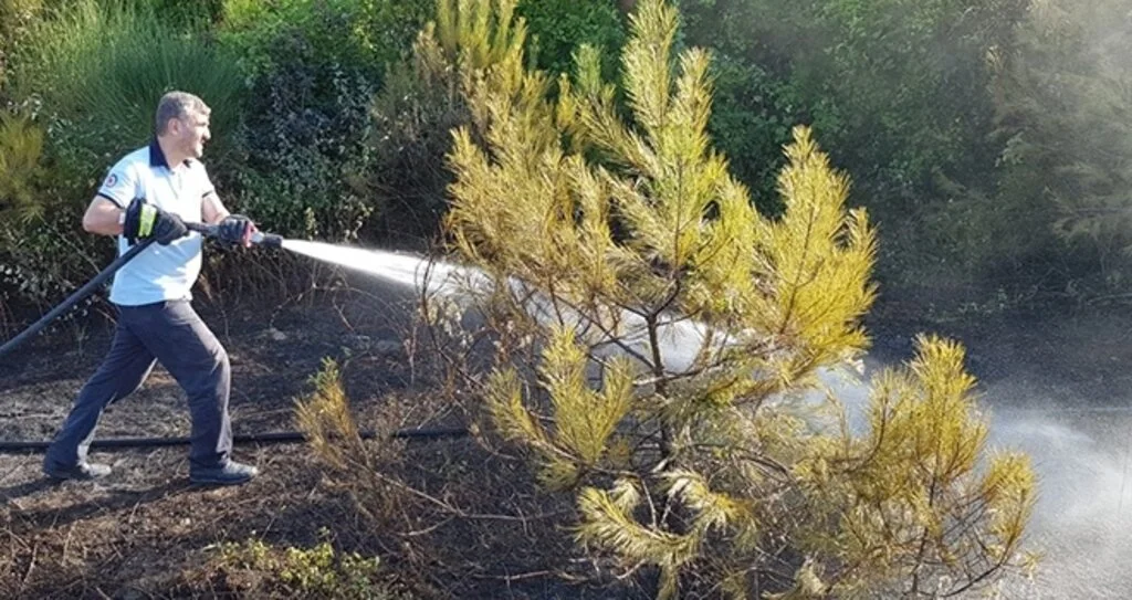 Yakakent Çam Gölü'nde yangın