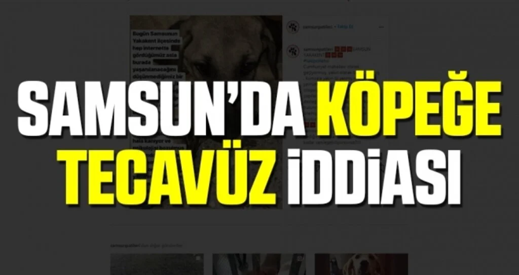 Yakakent'te Köpeğe Tecavüz İddiası