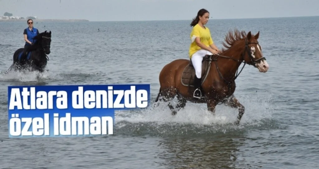 Atlara denizde özel idman