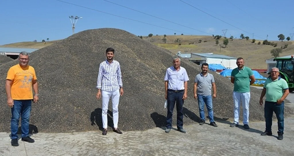 Ayçiçeğini Kuraklık Vurdu!