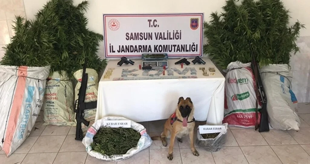 Bafra'da jandarma ekipleri uyuşturucu ve silah ele geçirdi