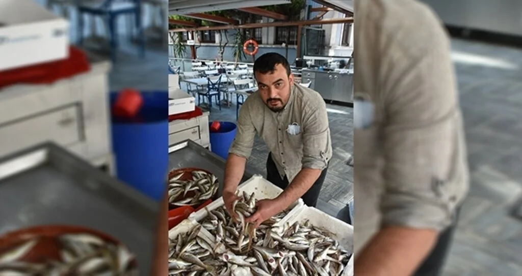 Balıkçı tezgahları şenlendi