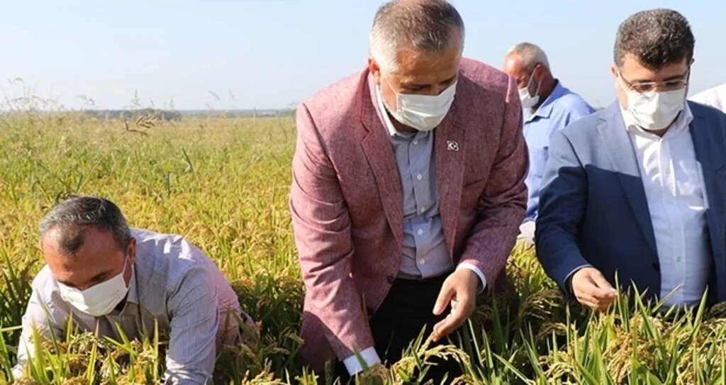 Başkan Kılıç: Bafra Ovası Damla Sulamada Kendini Kanıtlamıştır