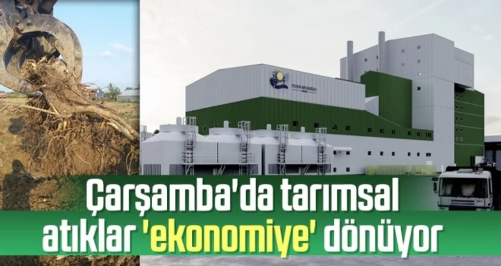 Çarşamba'da tarımsal atıklar 'ekonomiye' dönüyor