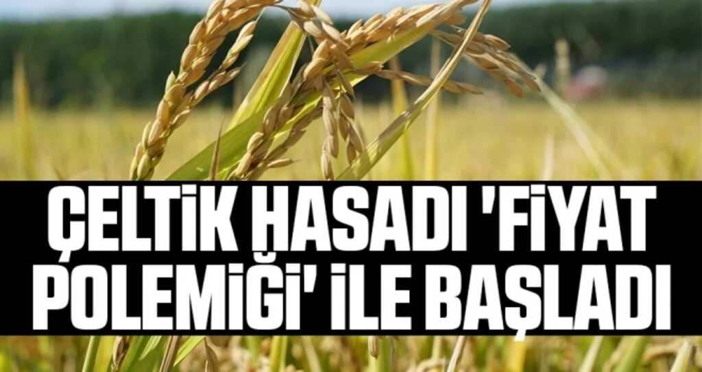 Çeltik hasadı 'fiyat polemiği' ile başladı