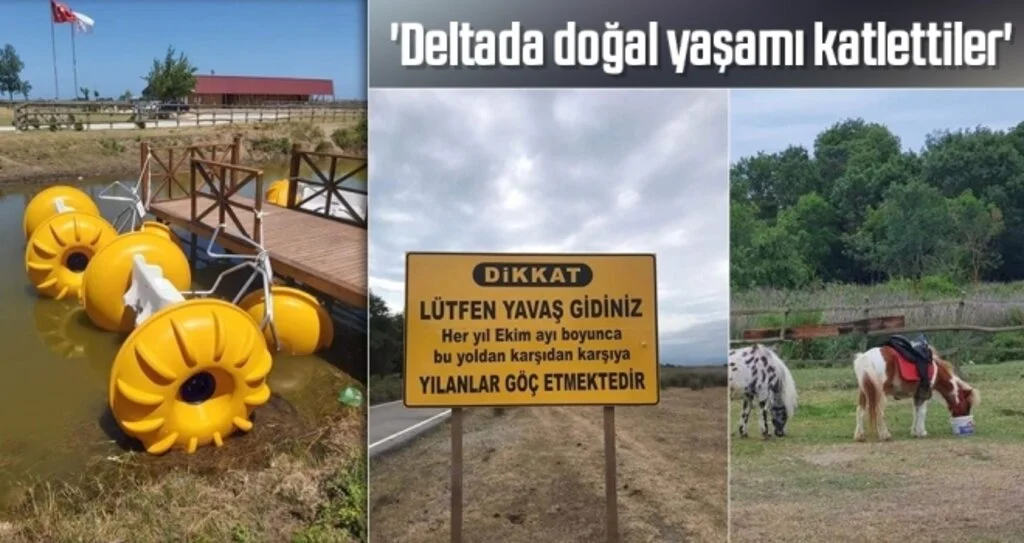 'Deltada doğal yaşamı katlettiler'